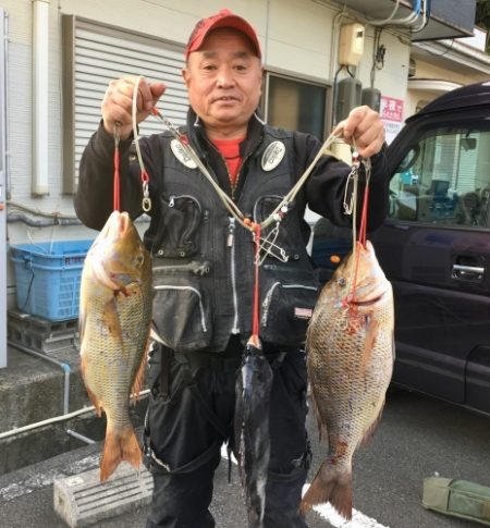 鵜来島家本渡船 釣果