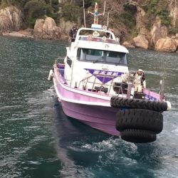 鵜来島家本渡船 釣果