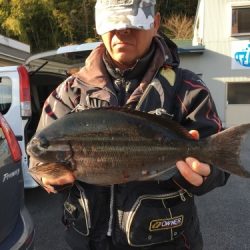 鵜来島家本渡船 釣果