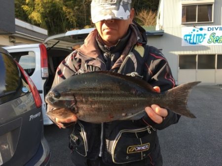 鵜来島家本渡船 釣果