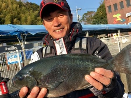 鵜来島家本渡船 釣果