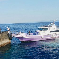 鵜来島家本渡船 釣果