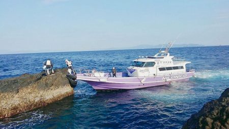 鵜来島家本渡船 釣果