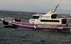 鵜来島家本渡船 釣果