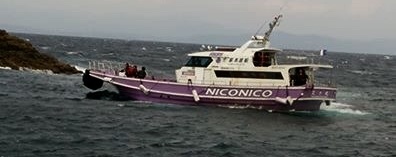 鵜来島家本渡船 釣果