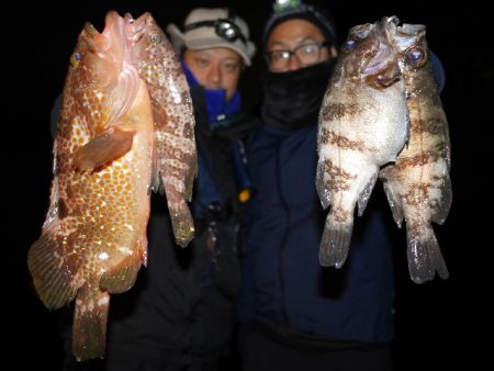 TOPGUN名古屋 釣果