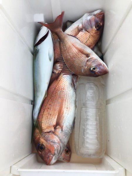 龍宮丸 釣果
