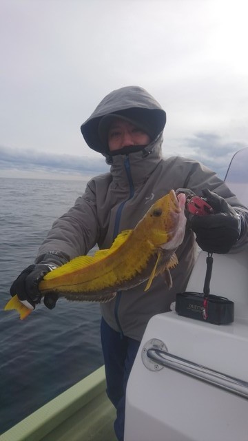 気仙沼 つり丸 釣果