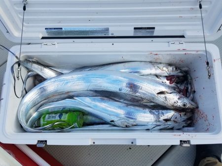 遊漁船　ニライカナイ 釣果