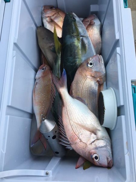 龍宮丸 釣果