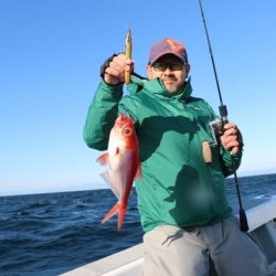 へいみつ丸 釣果