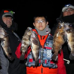 TOPGUN名古屋 釣果