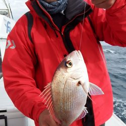 第三むつりょう丸 釣果