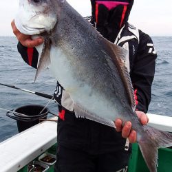 第三むつりょう丸 釣果