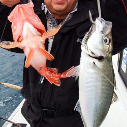 第三むつりょう丸 釣果