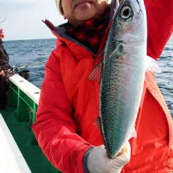 第三むつりょう丸 釣果