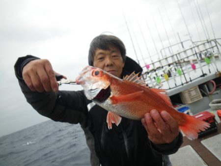 小海途 釣果
