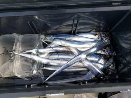 遊漁船　ニライカナイ 釣果