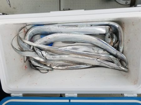 遊漁船　ニライカナイ 釣果