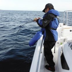 開進丸 釣果