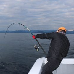 へいみつ丸 釣果