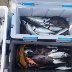 気仙沼 つり丸 釣果