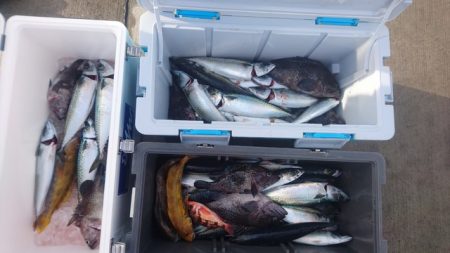 気仙沼　つり丸 釣果