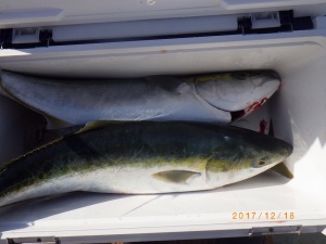 石川丸 釣果