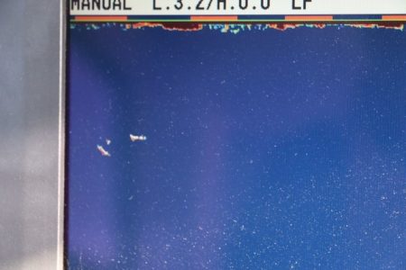 へいみつ丸 釣果