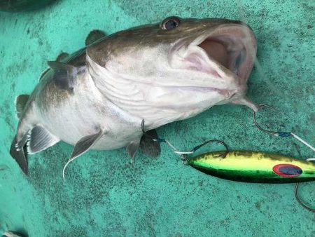 広進丸 釣果