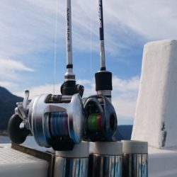 海晴丸 釣果
