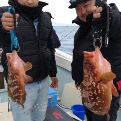 リトルワン 釣果