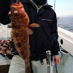 リトルワン 釣果