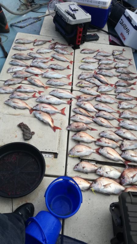 リトルワン 釣果