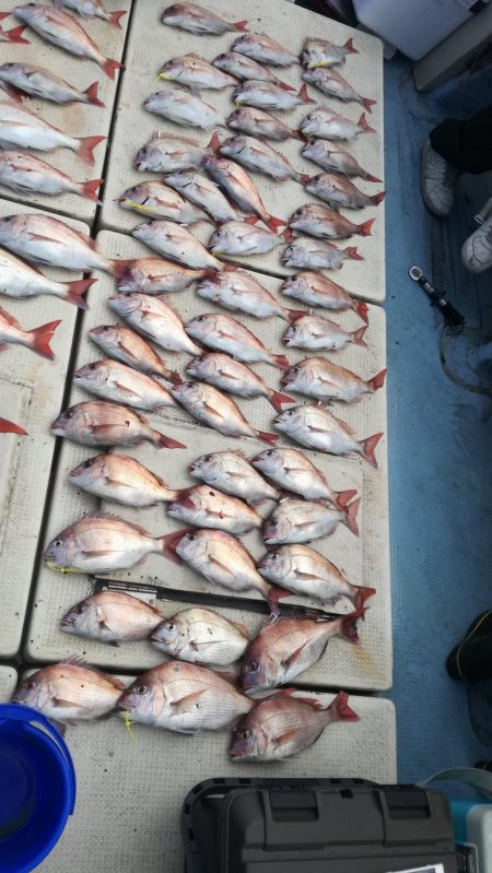 リトルワン 釣果