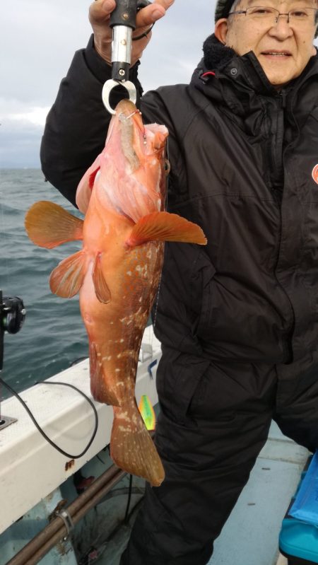 リトルワン 釣果