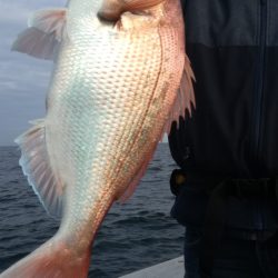 リトルワン 釣果