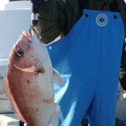 リトルワン 釣果