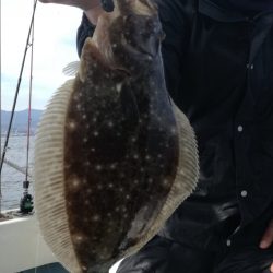 リトルワン 釣果