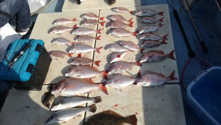 リトルワン 釣果