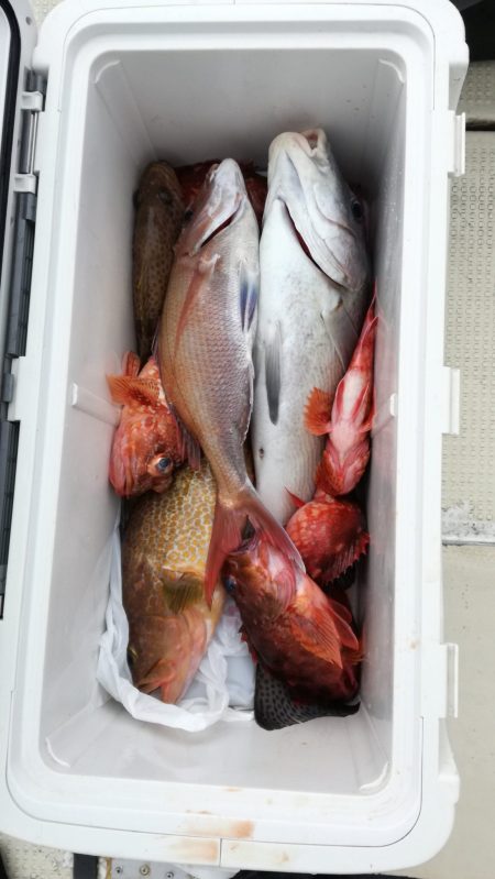 リトルワン 釣果