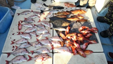 リトルワン 釣果