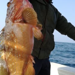 リトルワン 釣果