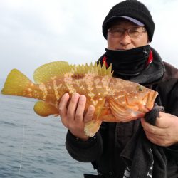 リトルワン 釣果