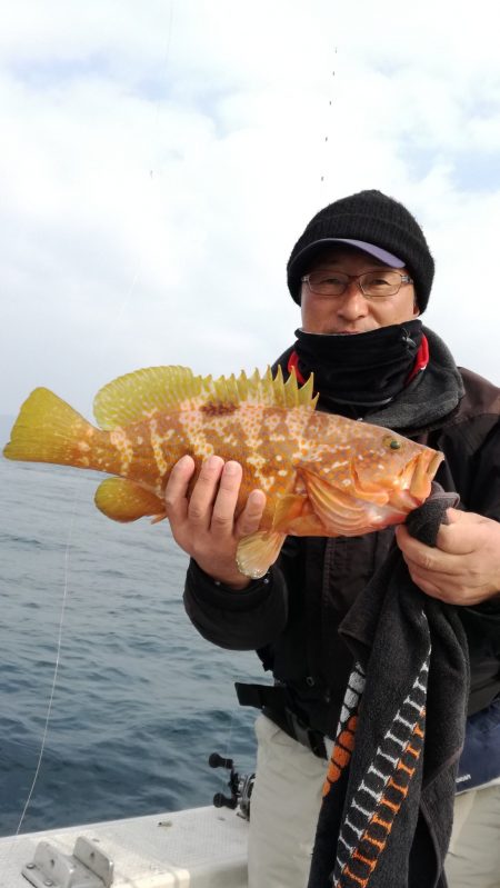 リトルワン 釣果