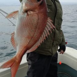 リトルワン 釣果