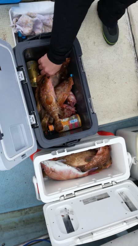 リトルワン 釣果