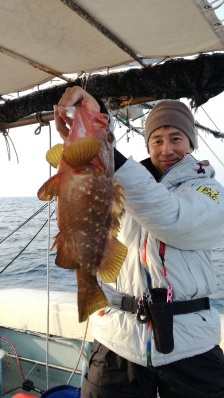 リトルワン 釣果