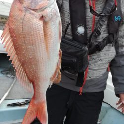 リトルワン 釣果