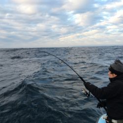 松鶴丸 釣果